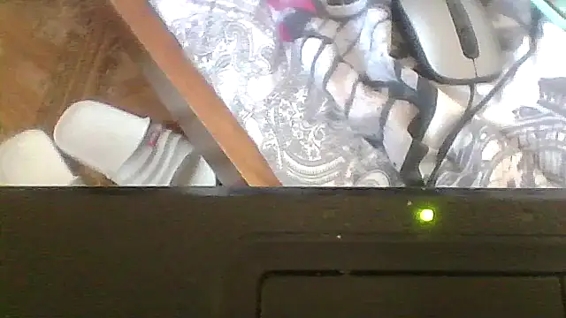 ShawnaAdams online show from February 19, 2026, 10:00 am