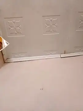 pretty-donna online show from October 21, 2025, 4:57 am