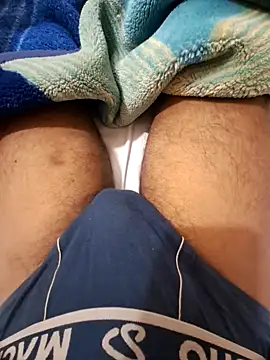 ANIMEL 2 online show from October 10, 2025, 4:22 am