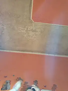 ducicsajsziii online show from April 22, 2026, 7:55 am