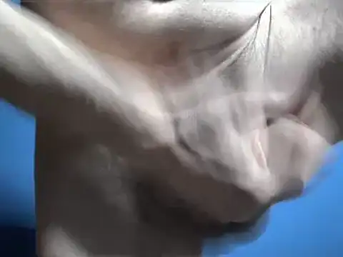 Pol8822 online show from March 4, 2026, 11:44 pm