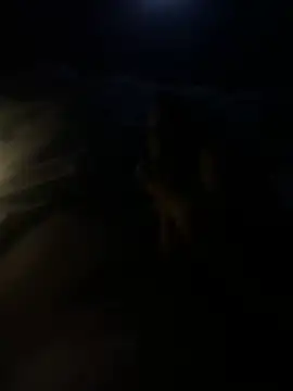 youngTJ online show from July 27, 2026, 2:51 am