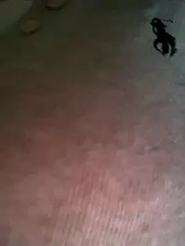 Snapshot of Ruby_bear chatting on December 19, 2025, 3:46 am Ruby bear online show from December 19, 2025, 3:46 am