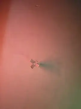 Ricorryxh online show from September 9, 2025, 5:07 am