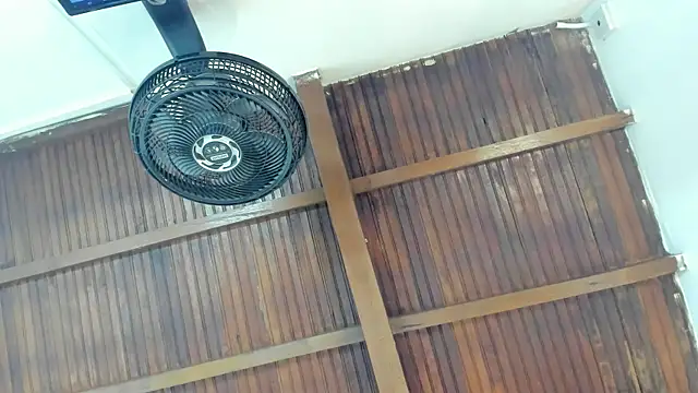 emily-fox online show from April 21, 2026, 11:05 am