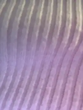 Isabellafantazy online show from December 16, 2025, 4:01 pm