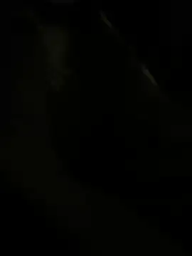 RoodoggXL online show from March 22, 2025, 3:20 am