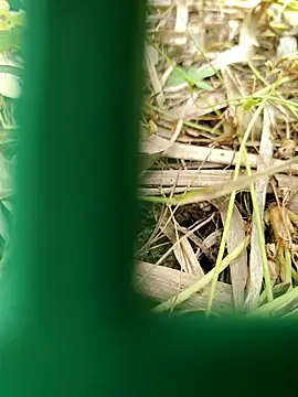 parejamlga58 online show from April 21, 2026, 9:04 am