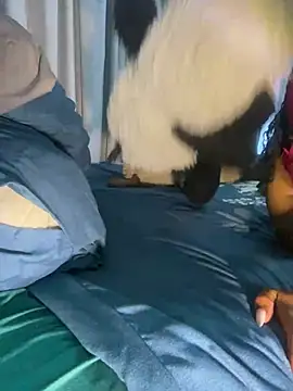 Snapshot of YellowHoneyDip chatting on January 28, 2025, 4:39 am YellowHoneyDip online show from January 28, 2025, 4:39 am