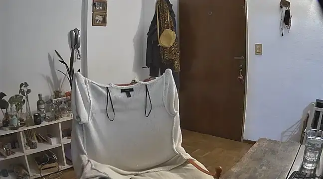 stupid babybird online show from December 21, 2024, 4:52 am