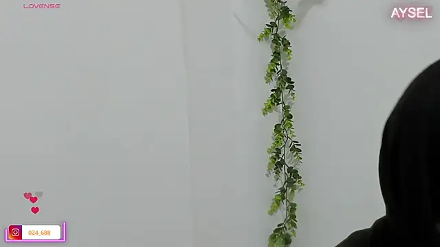 aysel elid online show from January 8, 2025, 12:06 am