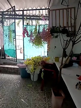 dakota johnson10 online show from December 3, 2025, 4:49 pm