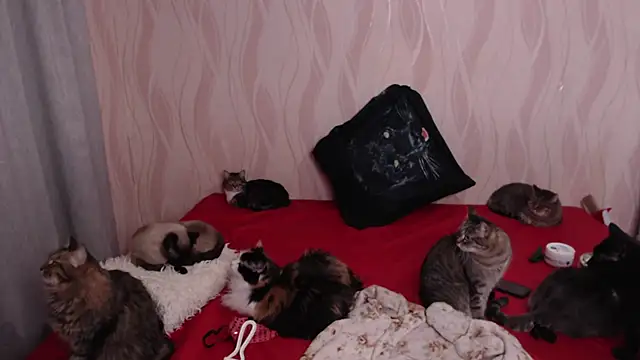 Olivia Winston online show from December 28, 2024, 9:40 pm