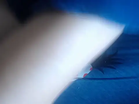 69loveme09 online show from February 4, 2025, 9:07 am