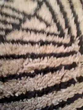 Gros-tuyau-93 online show from March 26, 2026, 8:53 am