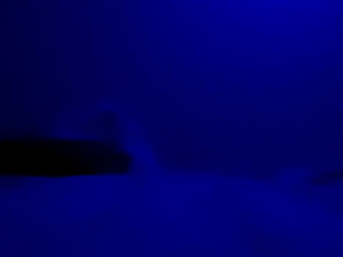 Blkstylion online show from November 27, 2025, 8:22 pm