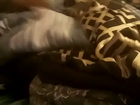 Blkstylion online show from December 14, 2025, 2:50 am