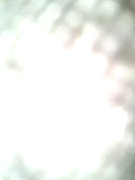 molozeb online show from October 12, 2025, 11:42 am