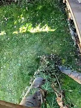 Lorent6969 online show from March 7, 2025, 1:18 pm