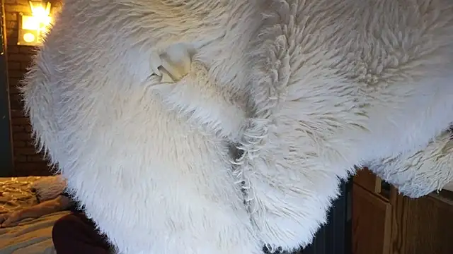 PropertyAndBiker online show from December 7, 2024, 2:20 am