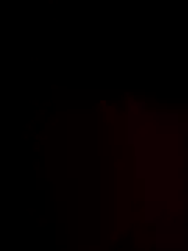 FantasticWonders9 online show from November 25, 2025, 12:21 am