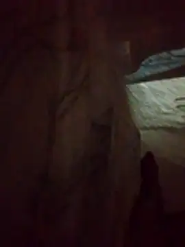 denca28 online show from March 14, 2026, 4:07 am