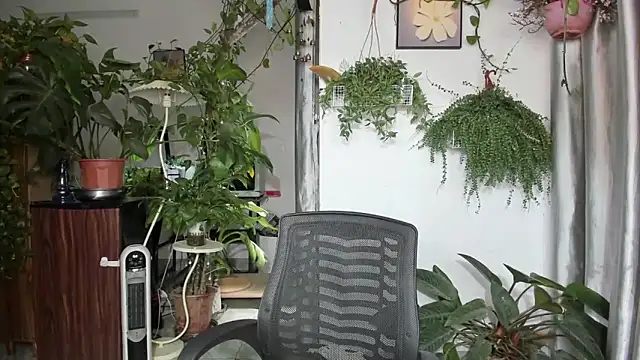 Oliver Nl online show from April 16, 2026, 4:46 am