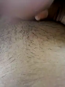 Dog546i online show from September 12, 2025, 9:09 am