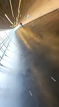 eltoulou online show from January 20, 2025, 1:21 pm