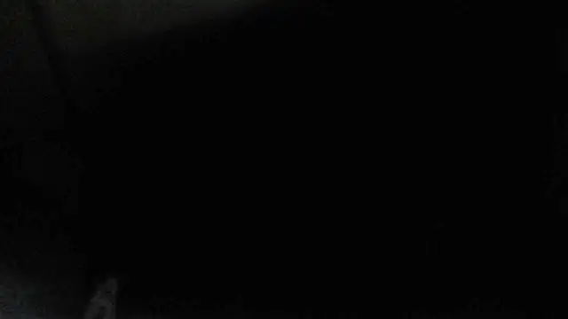 perversalus online show from December 17, 2024, 4:34 am