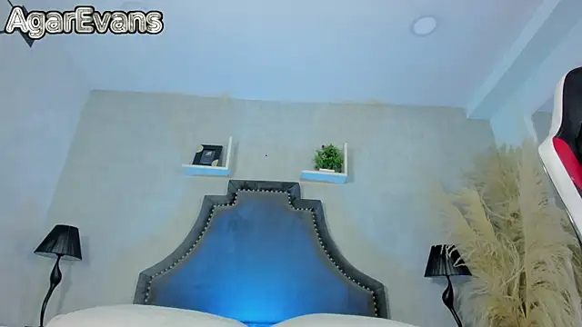 Snapshot of AgarEvans chatting on July 9, 2026, 4:38 am AgarEvans online show from July 9, 2026, 4:38 am