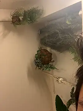 IroManager online show from September 15, 2025, 1:44 pm