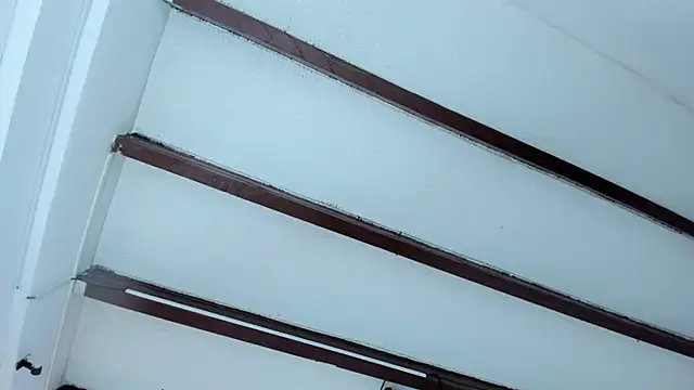 Oriana Guzman online show from January 19, 2025, 11:01 am