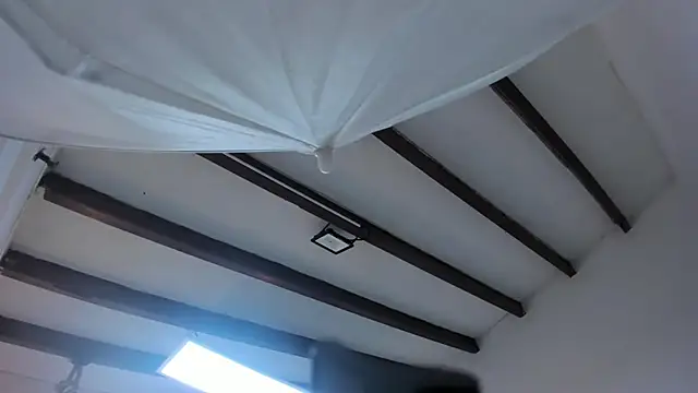 Oriana Guzman online show from February 22, 2025, 12:29 pm