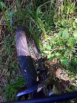 Adee21e online show from November 21, 2025, 4:38 pm