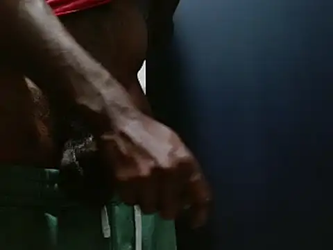 phbbcsham online show from December 9, 2024, 9:37 pm