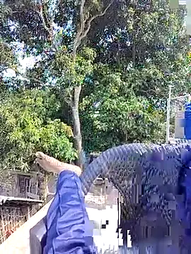 ErRakesh1 online show from November 10, 2025, 5:28 am