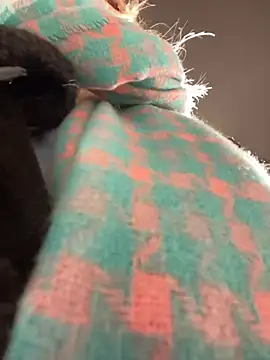 MerlinDave online show from January 6, 2025, 1:42 am