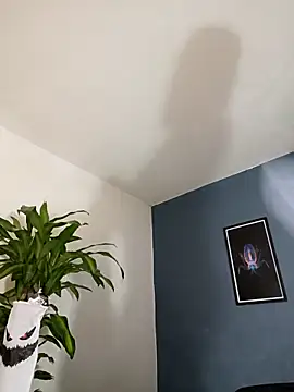 SilvaBranko online show from November 4, 2025, 10:09 pm