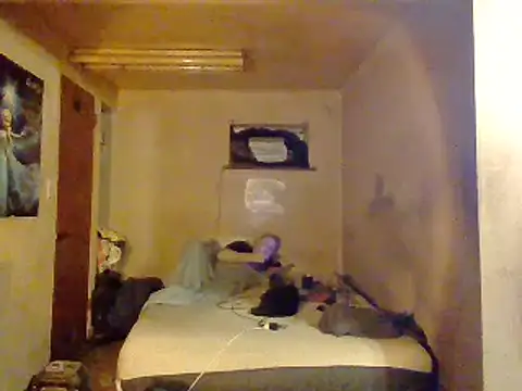 Nightshade7712 online show from February 2, 2025, 3:49 pm