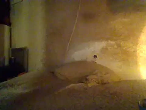 Nightshade7712 online show from February 19, 2025, 7:06 am