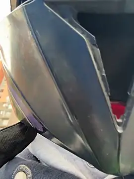 Bonniepark online show from January 28, 2025, 12:00 pm