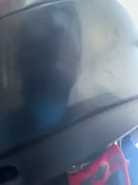 Bonniepark online show from March 5, 2025, 12:11 pm