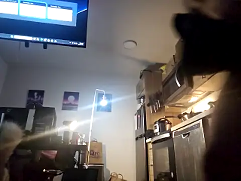 Armyexhibitionistvet online show from November 26, 2025, 4:52 pm