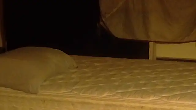 Armyexhibitionistvet online show from March 19, 2026, 11:03 am