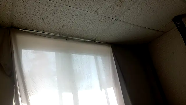 Armyexhibitionistvet online show from April 5, 2026, 7:22 pm