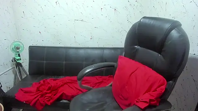  ace ventura online show from February 15, 2026, 3:20 pm