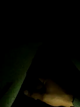 mivergateculeabienrico online show from February 10, 2026, 7:45 am