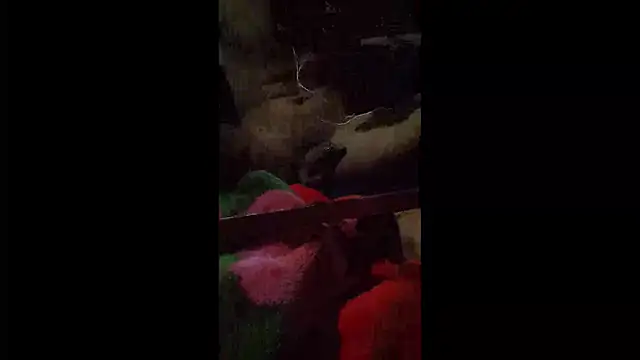 008Alexan online show from April 22, 2026, 3:31 am