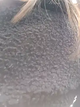 Snapshot of Violeta_12- chatting on March 18, 2025, 7:31 pm Violeta 12- online show from March 18, 2025, 7:31 pm